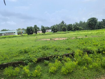 Plot Area in  Plot at Tallavalasa – for Sale