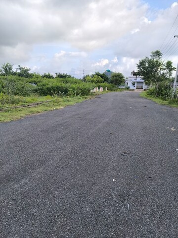 Plot Area in  Plot at Tallavalasa – for Sale