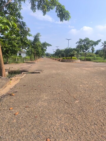 Plot Area in  Plot at Tallavalasa – for Sale