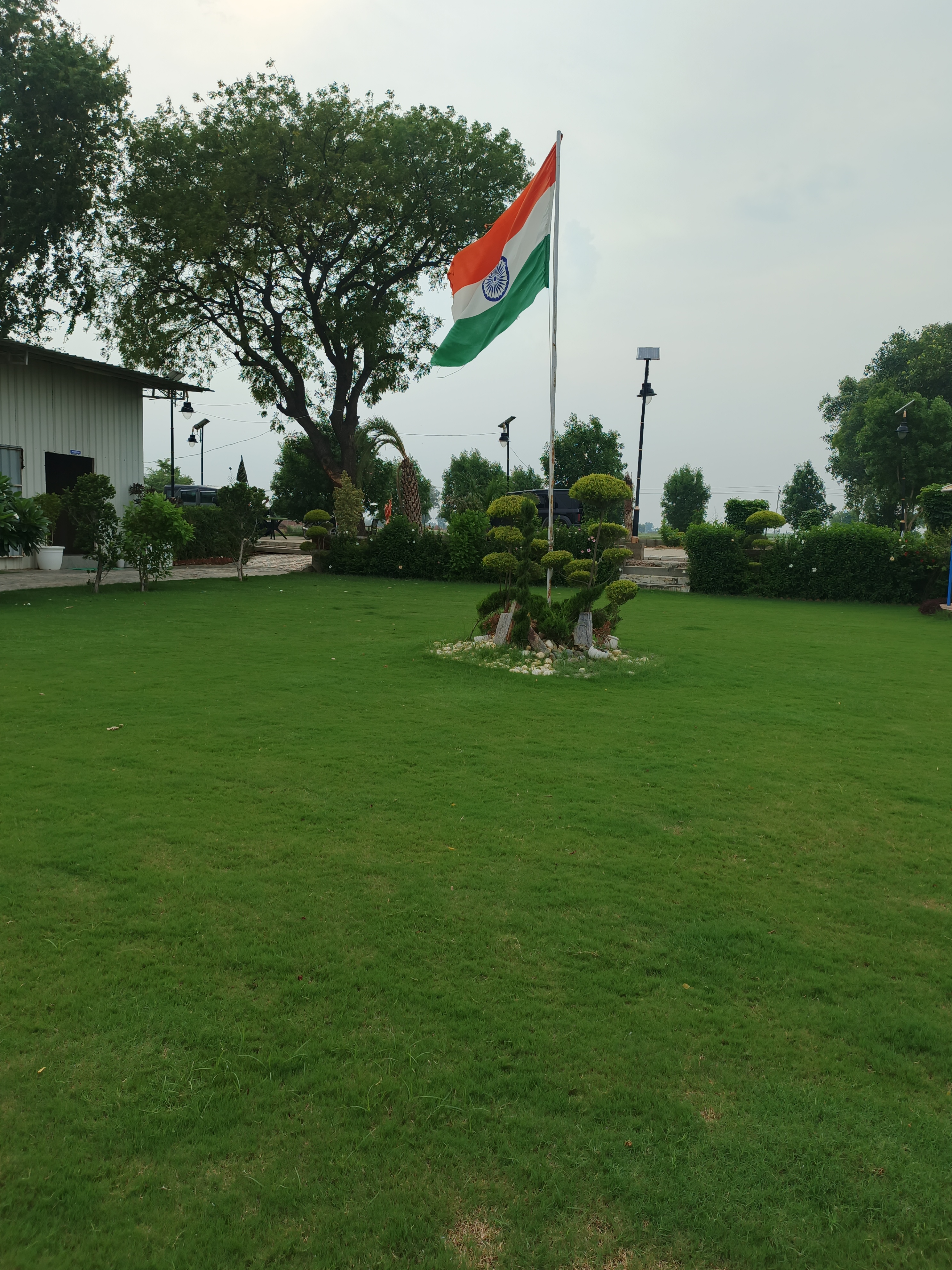 Plot For Sale in Jalalpur