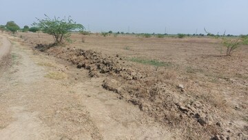 Plot For Sale in Narayankhed