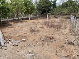  Plot For Sale in Ranjeet Sukhvarsha, Uruli Kanchan