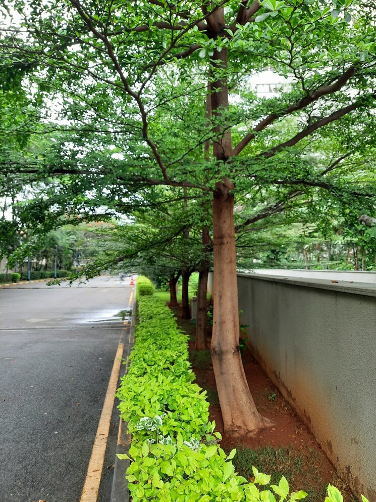 Balcony, sobha-ruby 3 Bedroom 1470 Sq.Ft. Apartment In Peenya Bangalore 8999733