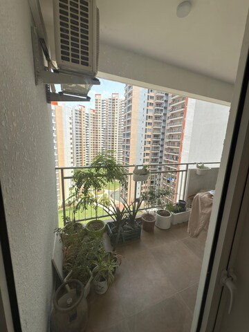 Balcony in 2 BHK Apartment at Shapoorji Pallonji Joyville Gurgaon, Sector 102 – for Rent