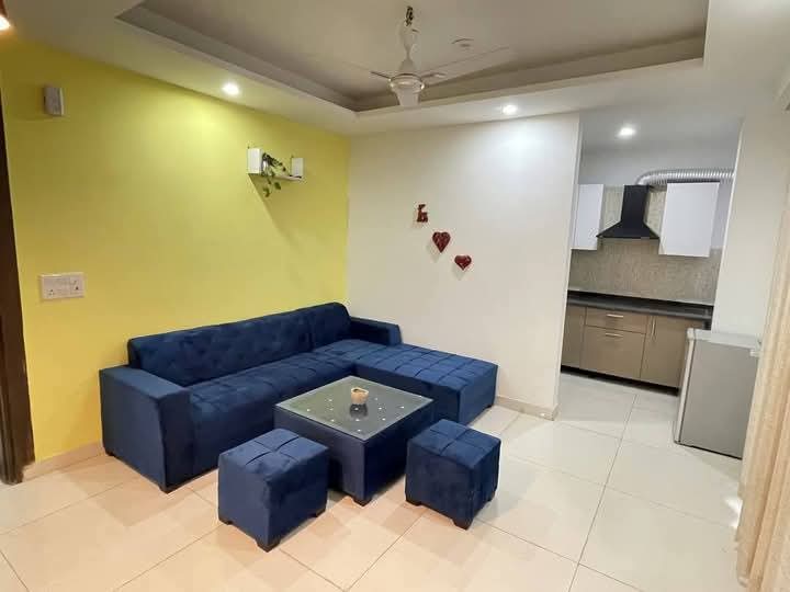 1 BHK Apartment For Rent in Saket 