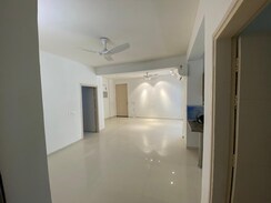 4 BHK + Pooja Room Apartment For Sale in Tulip Violet