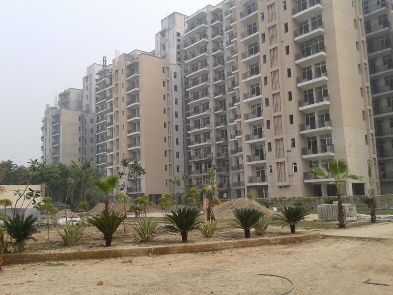 2 BHK Apartment For Rent in Omaxe New Heights