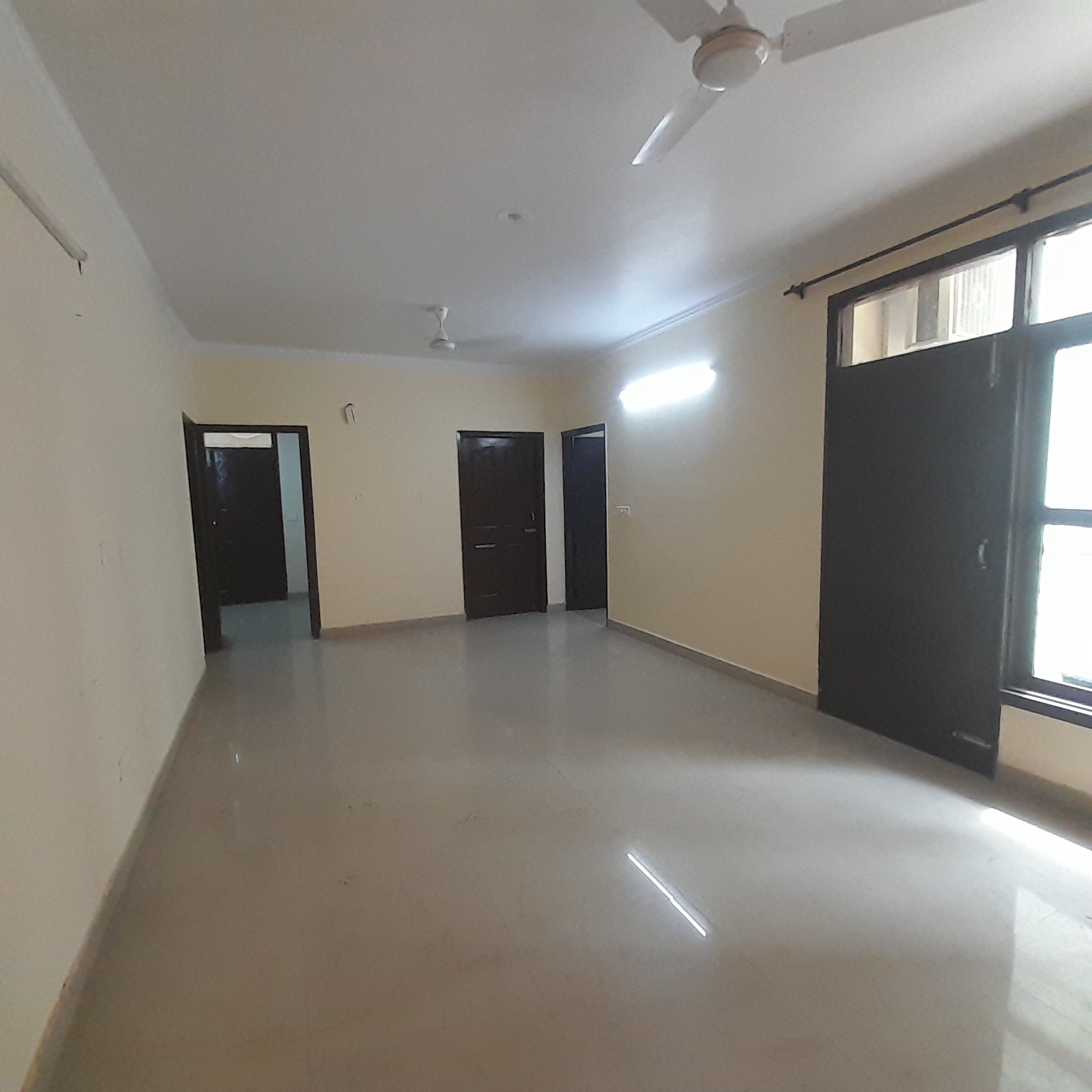 2 BHK Apartment For Rent in Maya Garden City