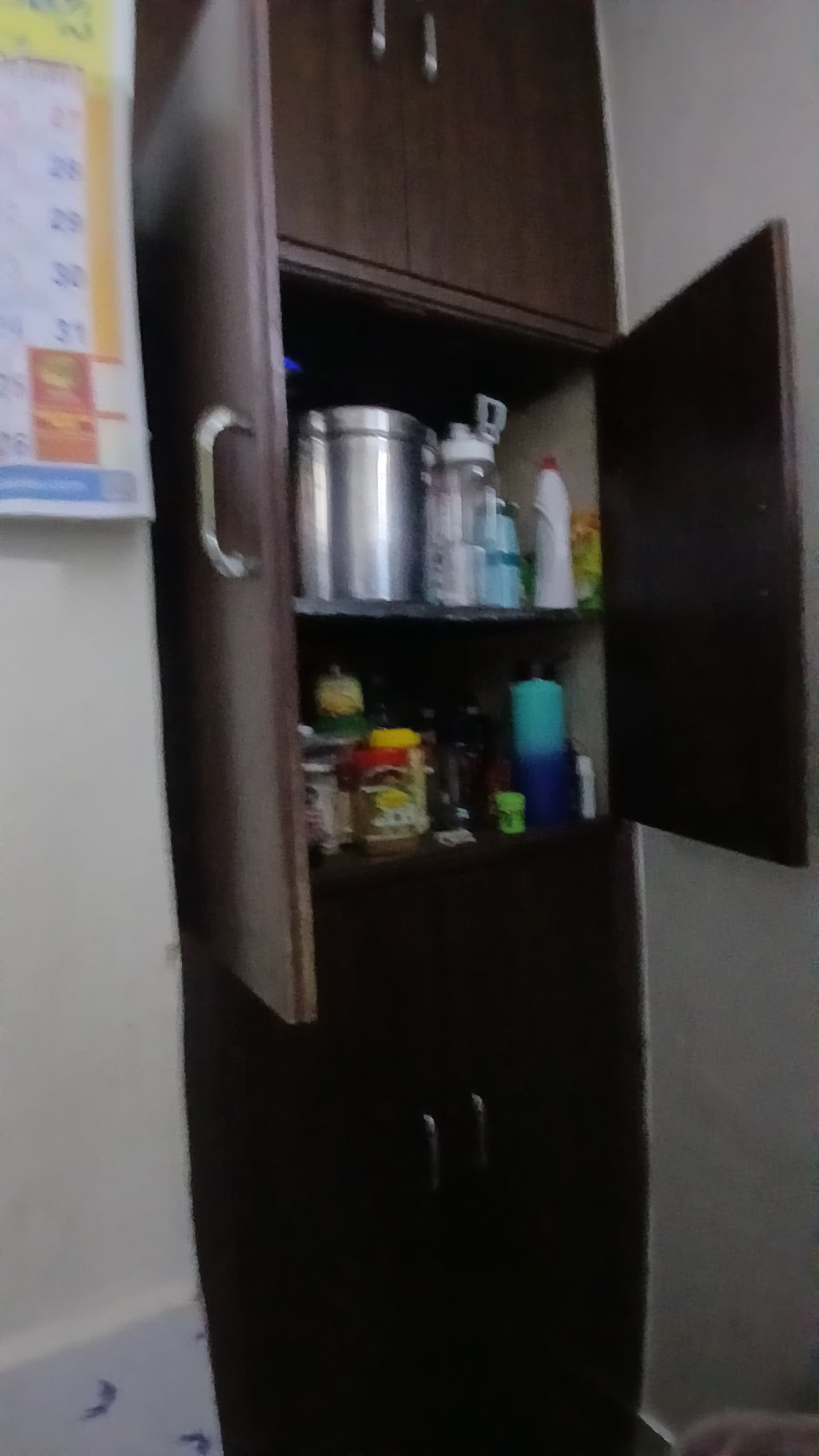 1 BHK + Pooja Room 450 Sq.Ft. Apartment in Vasant Leela Complex