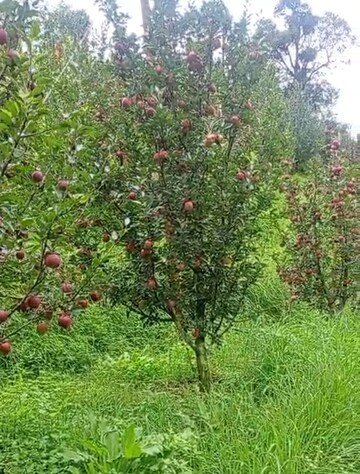  Plot – Garden View at Thoeg - for Sale