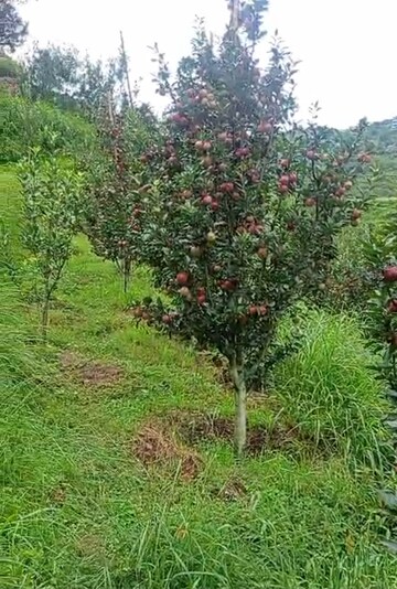  Plot For Sale in Thoeg
