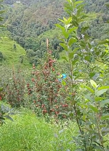  Plot – Garden View at Thoeg - for Sale