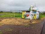 1089 Sq.Yd. Plot in Govandi