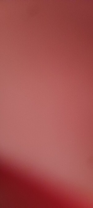  Plot For Sale in Balapur