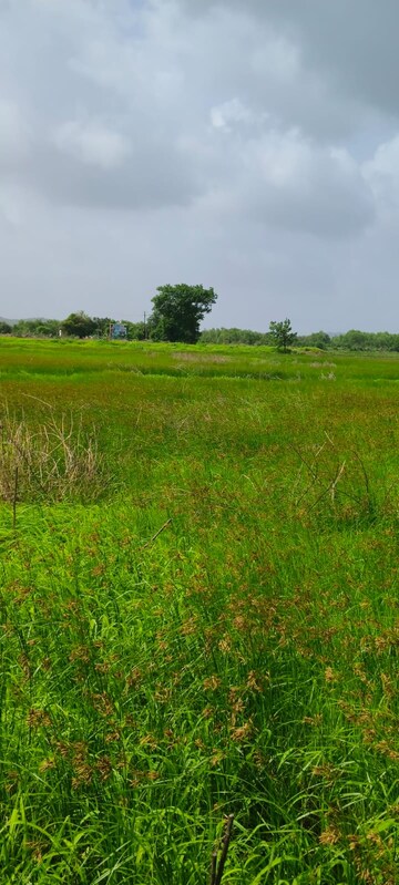 Plot Area in  Plot at Seawoods – for Sale