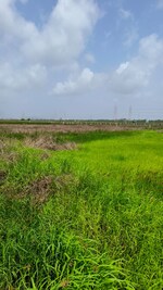 1089 Sq.Ft. Plot in Seawoods
