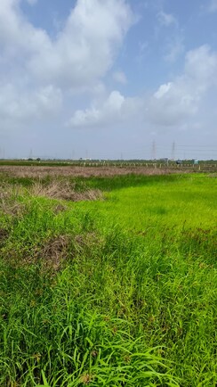 Plot For Sale in Seawoods