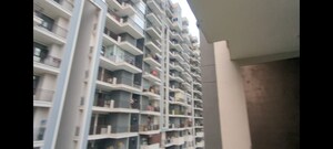 3 BHK Apartment For Sale in Conscient Habitat 78, Sector 78