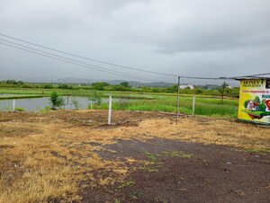 Plot Area in  Plot at Juinagar – for Sale