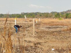 Plot For Sale in Juinagar