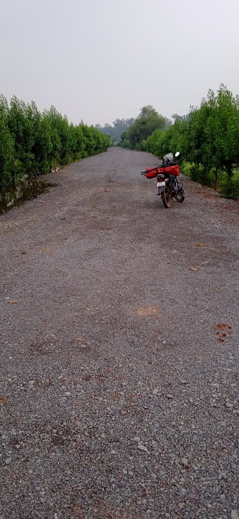 Plot For Sale in Anandvan Farm House 