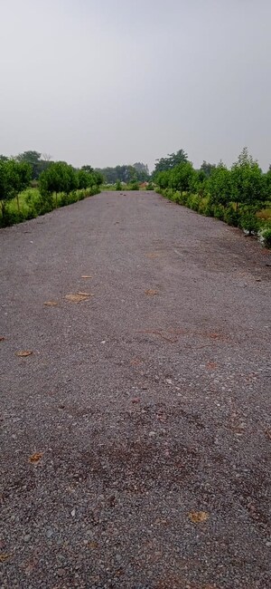 Plot Area in  Plot at Sejbahar – for Sale