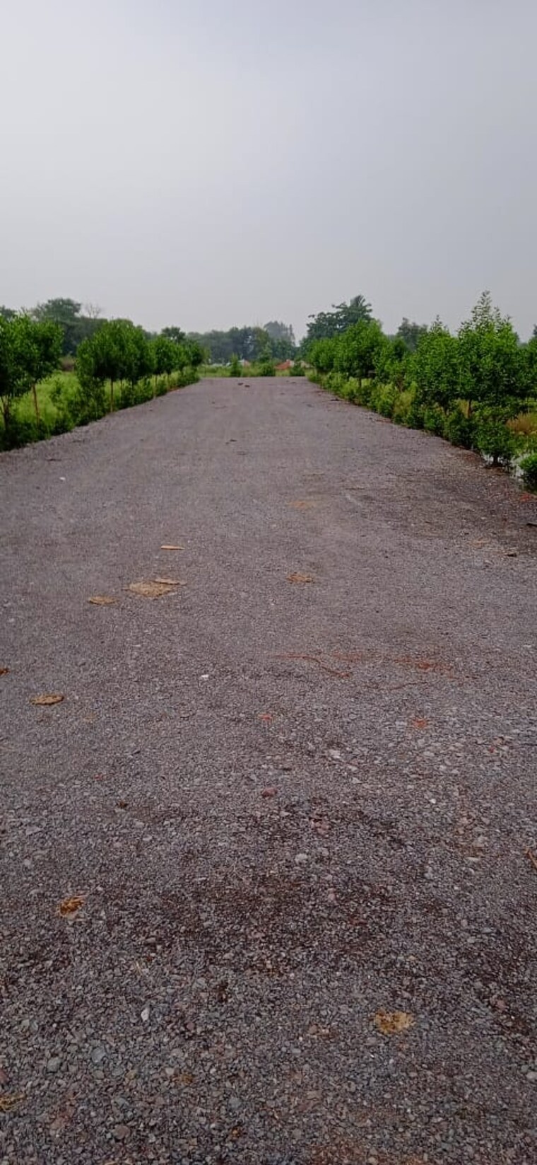 undefined, sejbahar  6500 Sq.Ft. Plot In Sejbahar Raipur 9000902