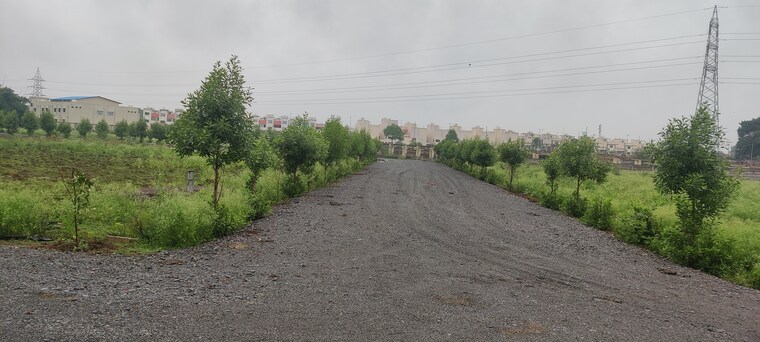 undefined, sejbahar  6500 Sq.Ft. Plot In Sejbahar Raipur 9000902