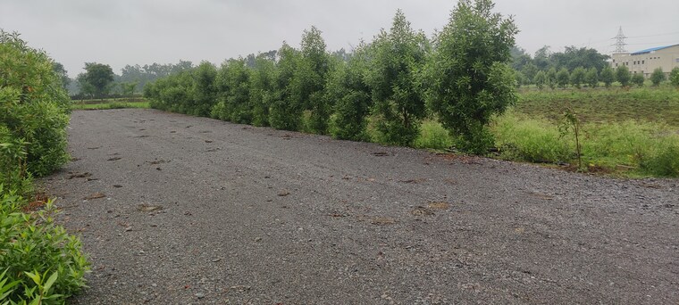 undefined, sejbahar  6500 Sq.Ft. Plot In Sejbahar Raipur 9000902