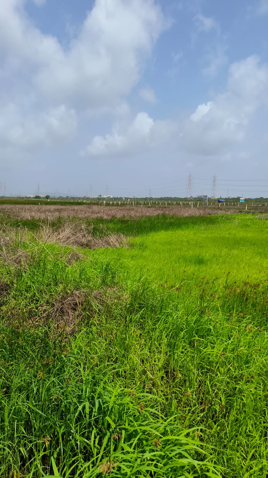 Land For Sale in Khopta Township 