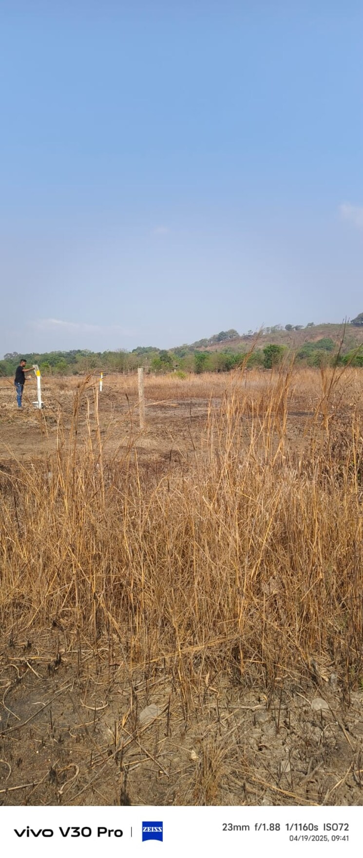 undefined, sanpada Commercial Land 1089 Sq.Ft. In Sanpada Navi Mumbai 9000917