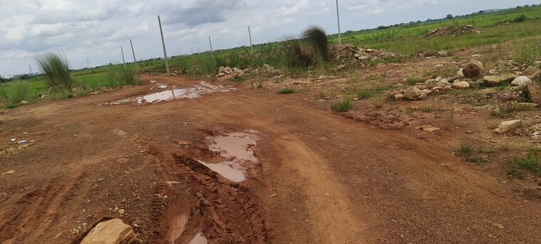 undefined, patrapada  1210 Sq.Ft. Plot In Patrapada Bhubaneswar 9000972