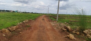 Plot Area in  Plot at Patrapada – for Sale