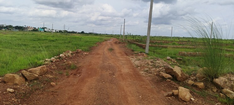 undefined, patrapada  1210 Sq.Ft. Plot In Patrapada Bhubaneswar 9000972