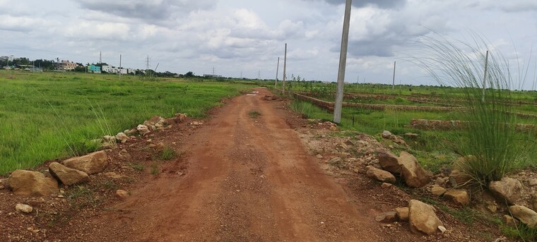 undefined, patrapada  1210 Sq.Ft. Plot In Patrapada Bhubaneswar 9000972