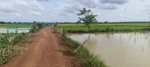 Plot Area in  Plot at Patrapada – for Sale