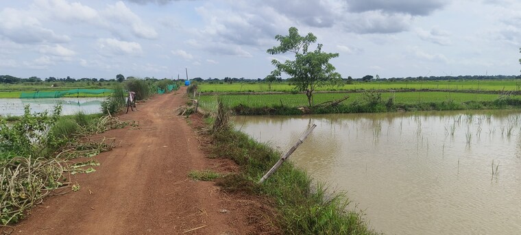 undefined, patrapada  1210 Sq.Ft. Plot In Patrapada Bhubaneswar 9000972