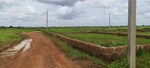 1210 Sq.Ft. Plot in Patrapada