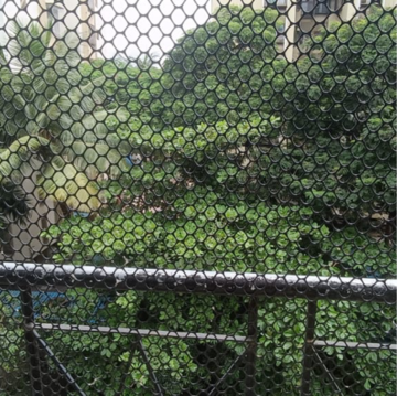 2 BHK Apartment – Garden View at Eden Rose Apartment, Kanakia Road - for Rent
