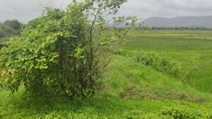  Plot – Garden View at Vashi - for Sale