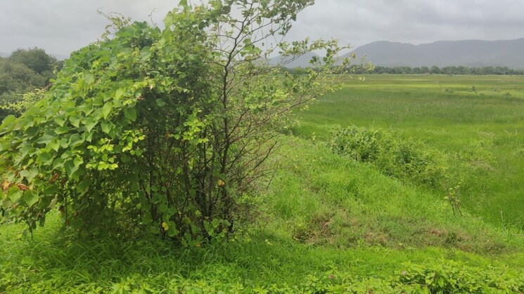 Garden, vashi  1089 Sq.Ft. Plot In Vashi Navi Mumbai 9001208