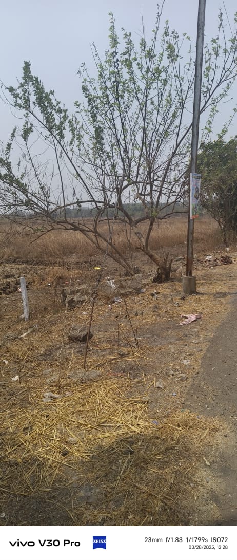 Plot For Sale in Vashi