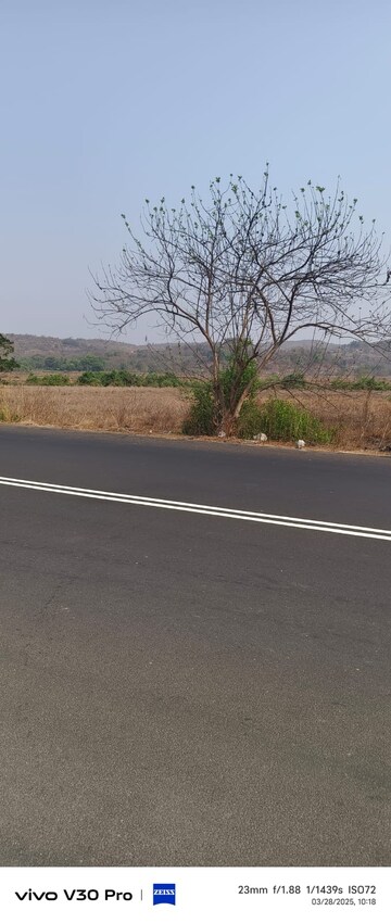 Plot Area in  Plot at Vashi – for Sale