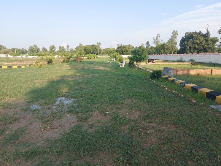 Garden, raebareli road  1000 Sq.Ft. Plot In Raebareli Road Lucknow 9001213