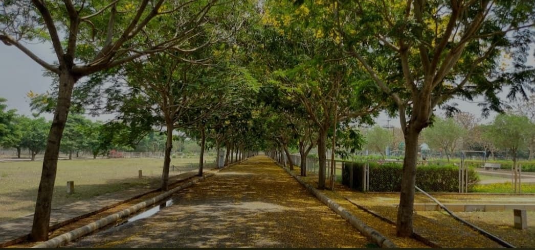 Plot For Sale in Plot 4000sft Manyata Resi