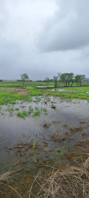 Plot Area in  Plot at Khandeshwar – for Sale