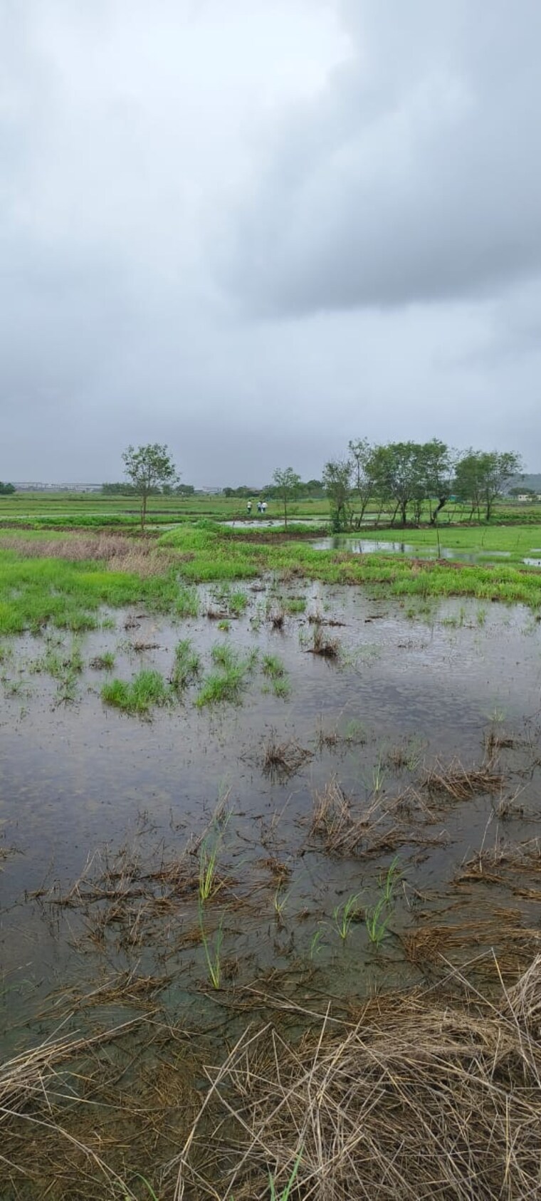 undefined, khandeshwar  1089 Sq.Ft. Plot In Khandeshwar Navi Mumbai 9001232