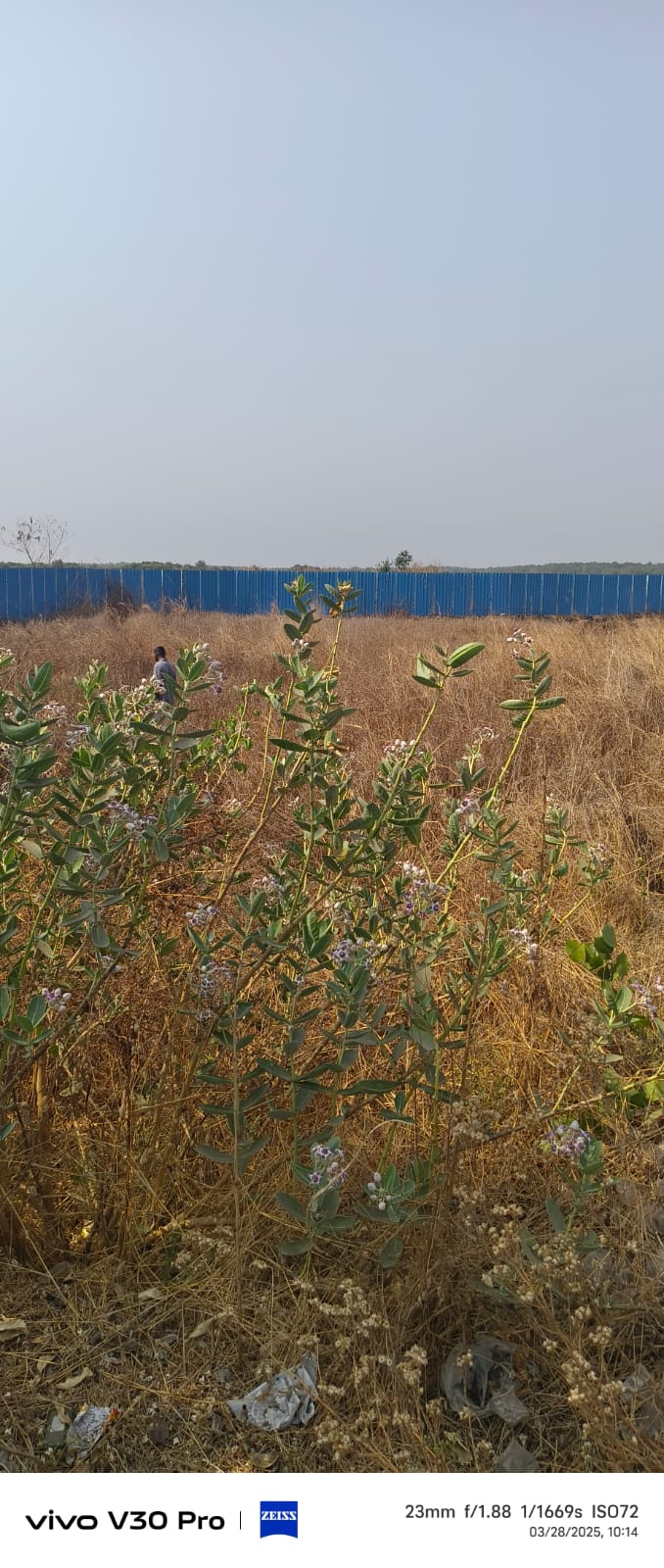 Plot For Sale in Nerul