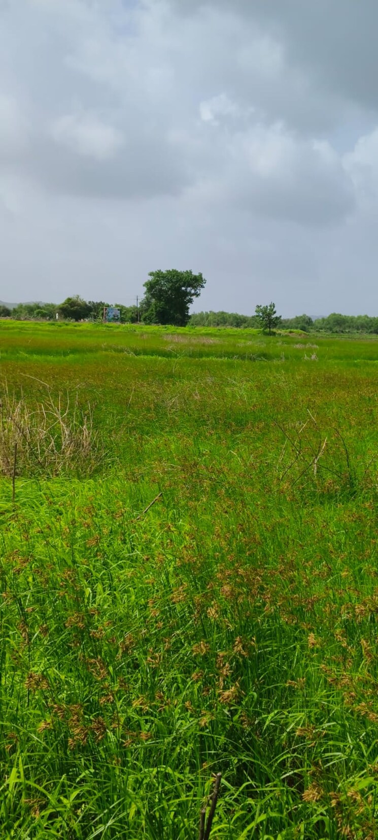 undefined, seawoods Commercial Land 1089 Sq.Ft. In Seawoods Navi Mumbai 9001288