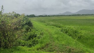 Plot Area in  Plot at Seawoods – for Sale